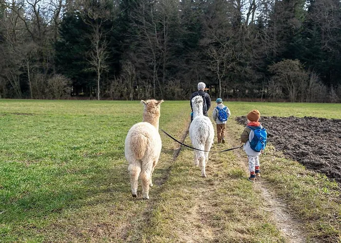 Alloggio per agriturismo Uelis-stoeckli Gaestezimmer Mit Billard Und Lamatrekking Meikirch