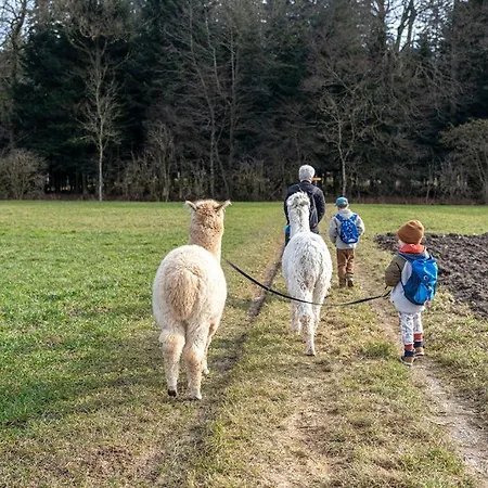 Farmház Uelis-stoeckli Gaestezimmer Mit Billard Und Lamatrekking Meikirch