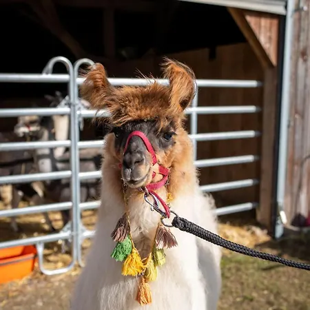 Farmház Uelis-stoeckli Gaestezimmer Mit Billard Und Lamatrekking Meikirch