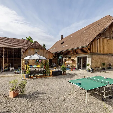 Uelis-stoeckli Gaestezimmer Mit Billard Und Lamatrekking * Meikirch