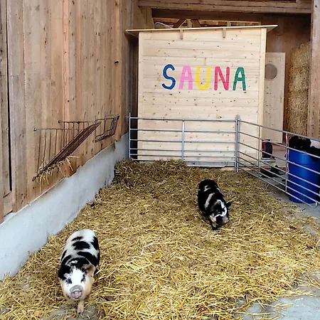 Farmház Uelis-stoeckli Gaestezimmer Mit Billard Und Lamatrekking Meikirch